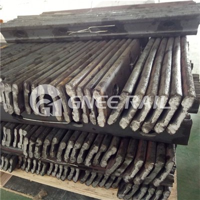 Žuvies lėkštė 60 kg bėgiui